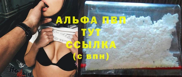 эйфоретик Бежецк