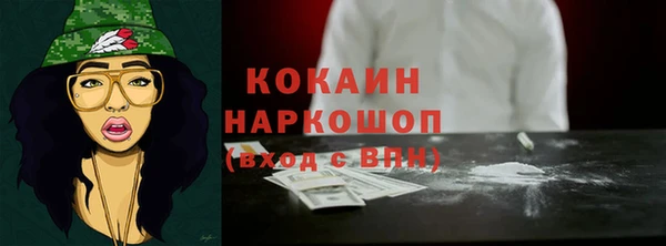 спайс Аша