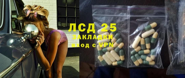 спайс Аша